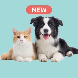 Category image: Animals & Pet Supplies
